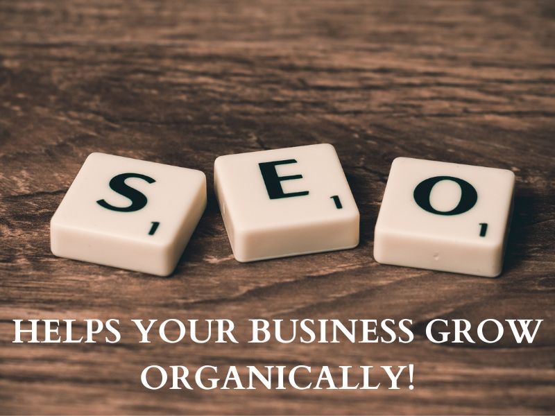 best-San-Diego-SEO-company-aha-SEO-SDSU-Mission-Valley-North-Park